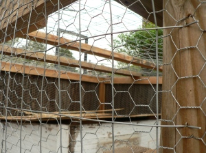 Two kinds of wire used to fence in the chicken run.