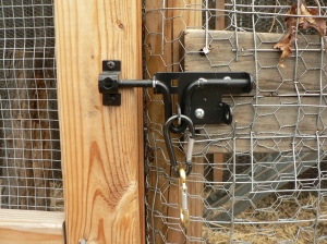 Predator-proof lock? We hope so...