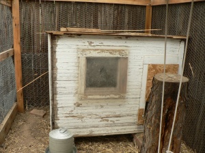 The very shoddy-looking but functional coop.